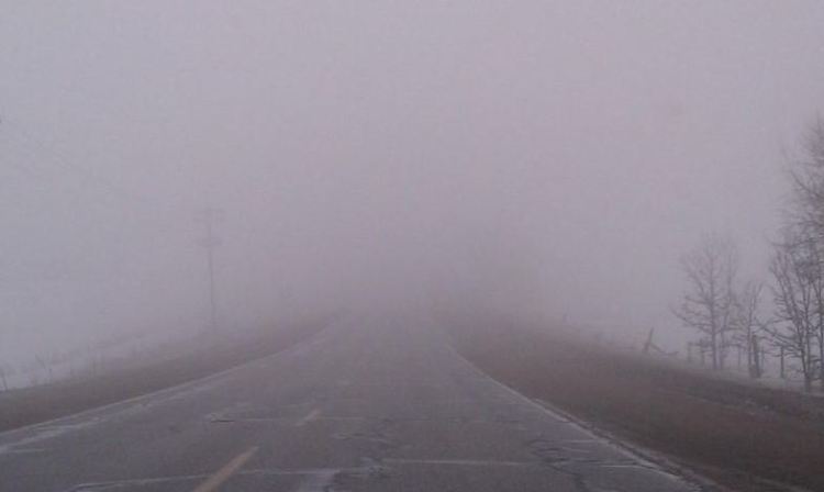mist and fog.JPG